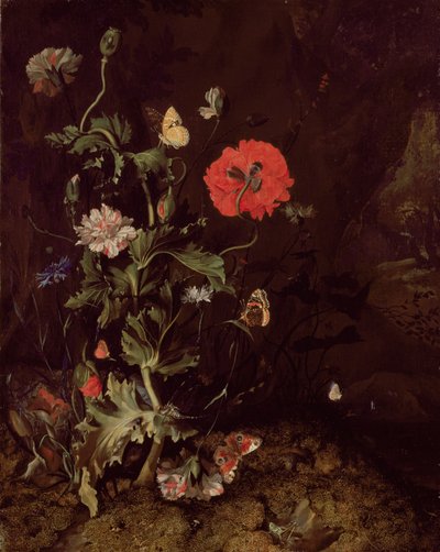 Natura Morta del Suolo della Foresta con Fiori e Farfalle da Rachel Ruysch